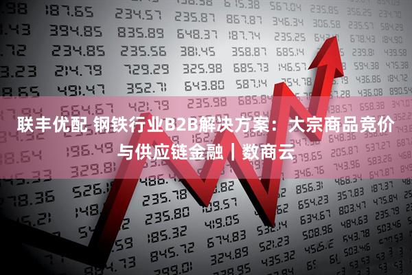 联丰优配 钢铁行业B2B解决方案：大宗商品竞价与供应链金融｜数商云