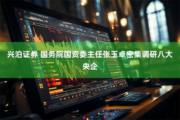 兴泊证券 国务院国资委主任张玉卓密集调研八大央企