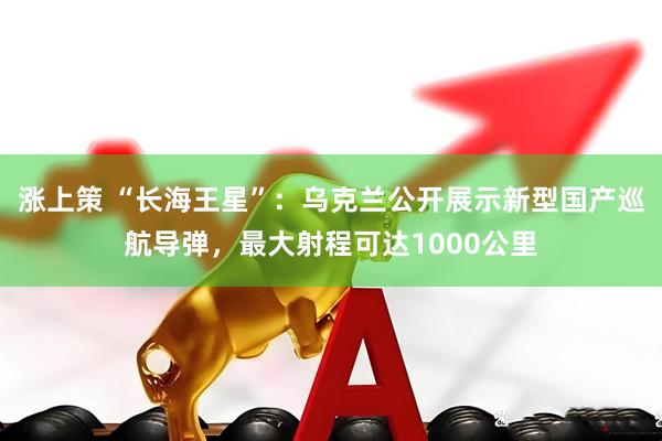 涨上策 “长海王星”：乌克兰公开展示新型国产巡航导弹，最大射程可达1000公里