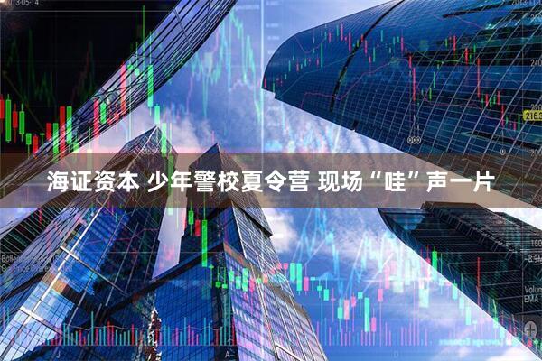 海证资本 少年警校夏令营 现场“哇”声一片