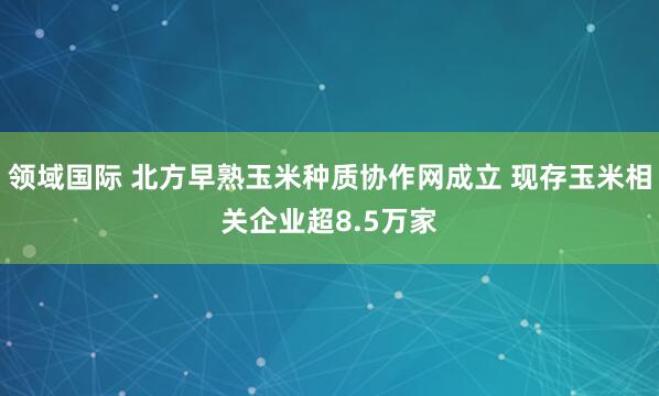 领域国际 北方早熟玉米种质协作网成立 现存玉米相关企业超8.5万家