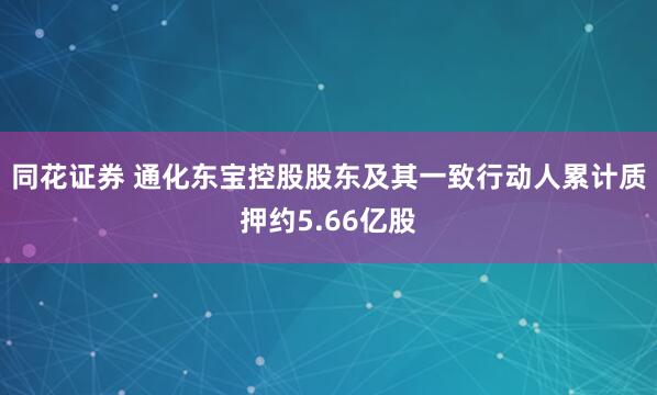 同花证券 通化东宝控股股东及其一致行动人累计质押约5.66亿股