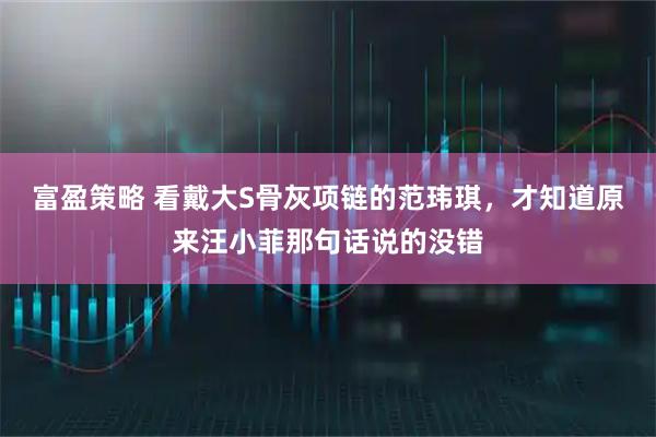 富盈策略 看戴大S骨灰项链的范玮琪，才知道原来汪小菲那句话说的没错