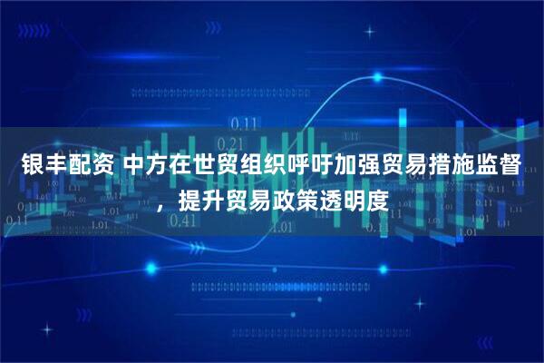 银丰配资 中方在世贸组织呼吁加强贸易措施监督，提升贸易政策透明度