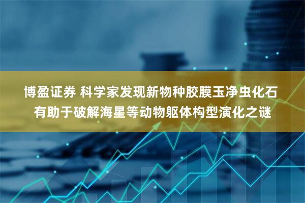 博盈证券 科学家发现新物种胶膜玉净虫化石 有助于破解海星等动物躯体构型演化之谜