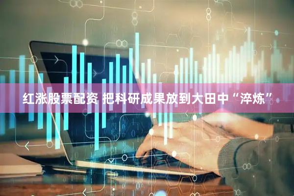 红涨股票配资 把科研成果放到大田中“淬炼”